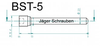 Titan (Ti6Al4V) - Bremsbelagstift Sonderfarben